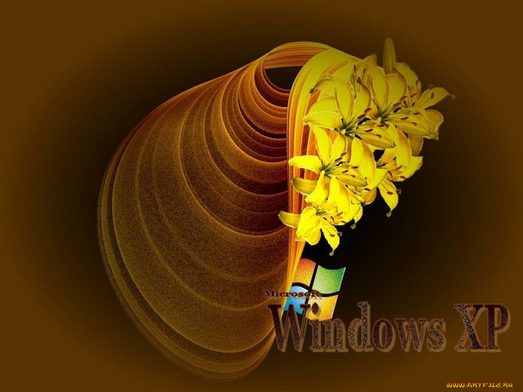 , windows, xp